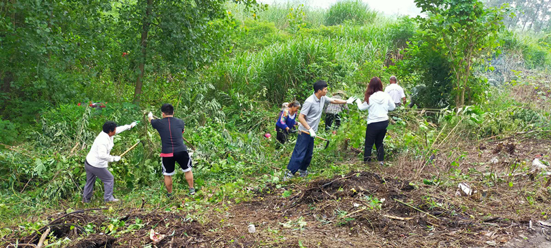 突擊隊(duì)員在城根村防汛一線清除雜草_副本.jpg
